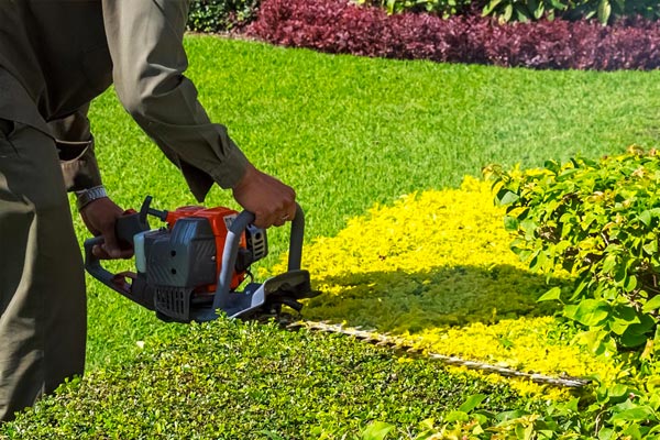 Espaces Verts ESAT Les Tournesols taille de haies