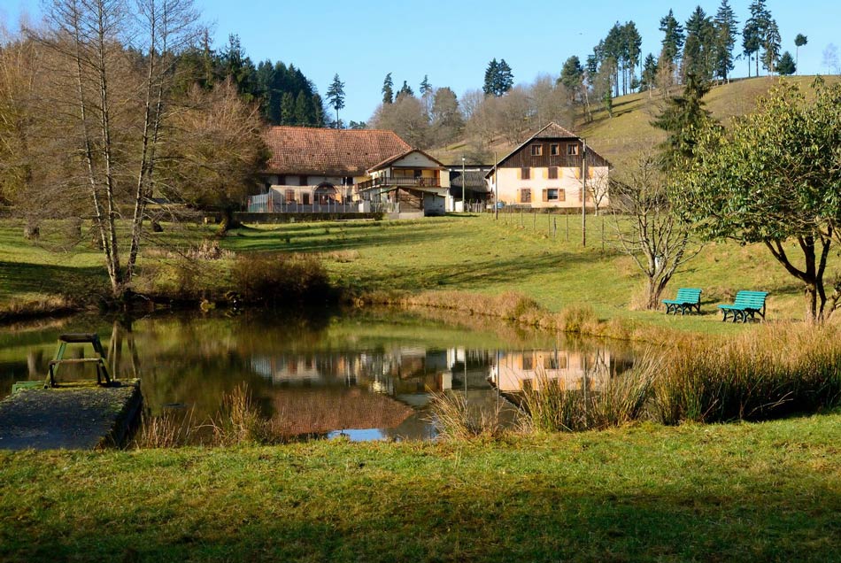 Le site de la ferme d'animation de Lièpvre avant travaux