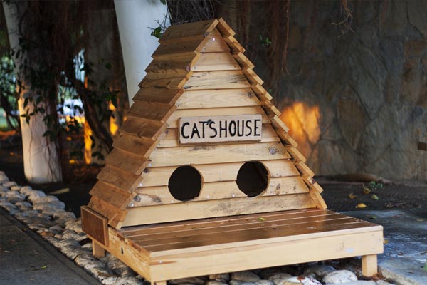 Fabrication cabane et niche pour chat