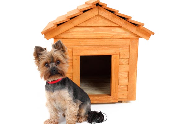 Fabrication cabane et niche pour chien