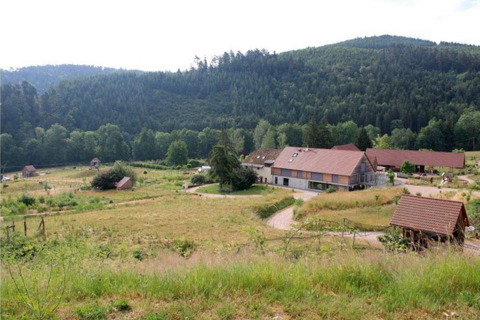 Location salle de séminaire à la Ferme d'Argentin à Lièvbre en Alsace